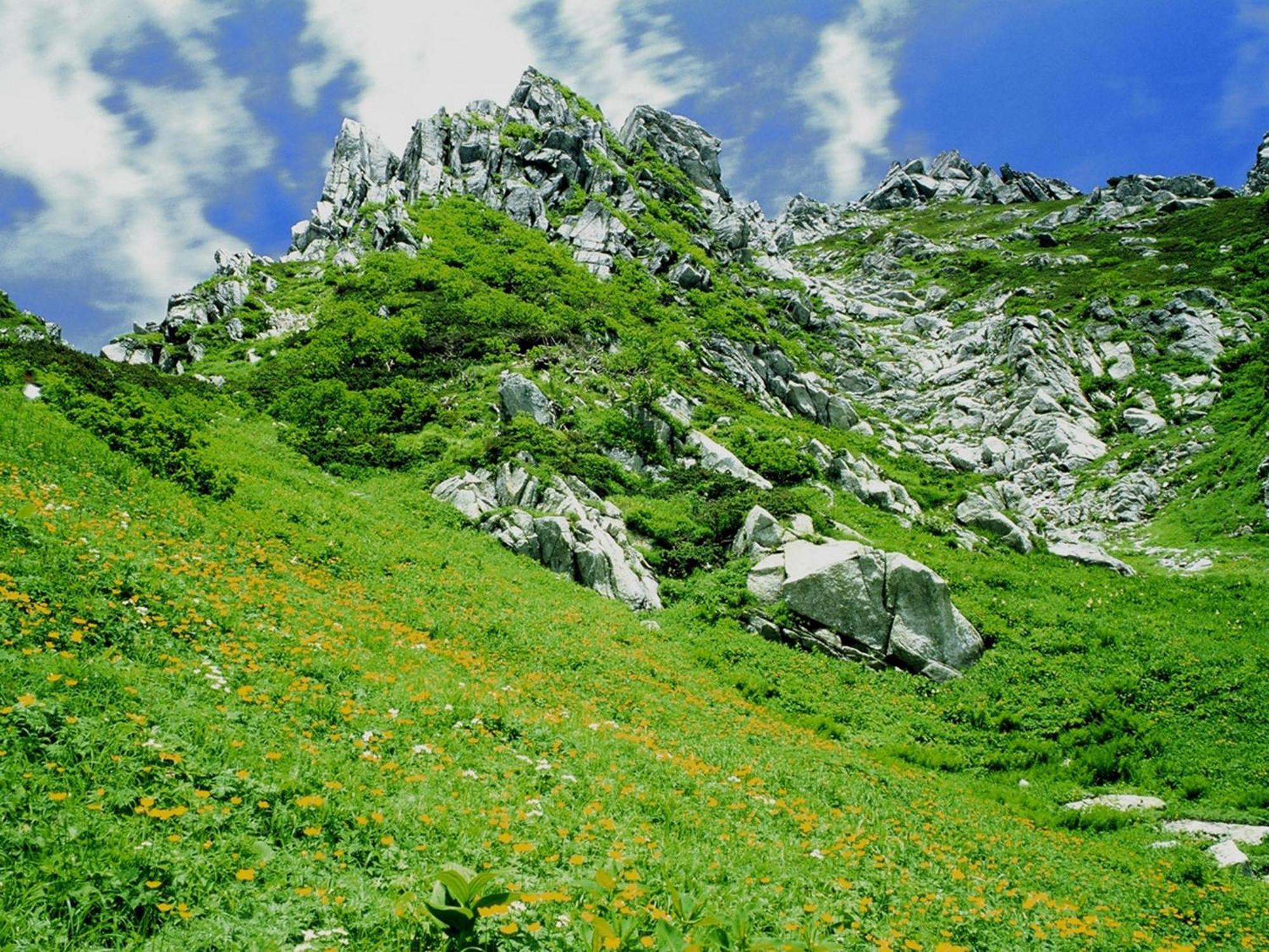 Yoshinotei Otel Iida Dış mekan fotoğraf