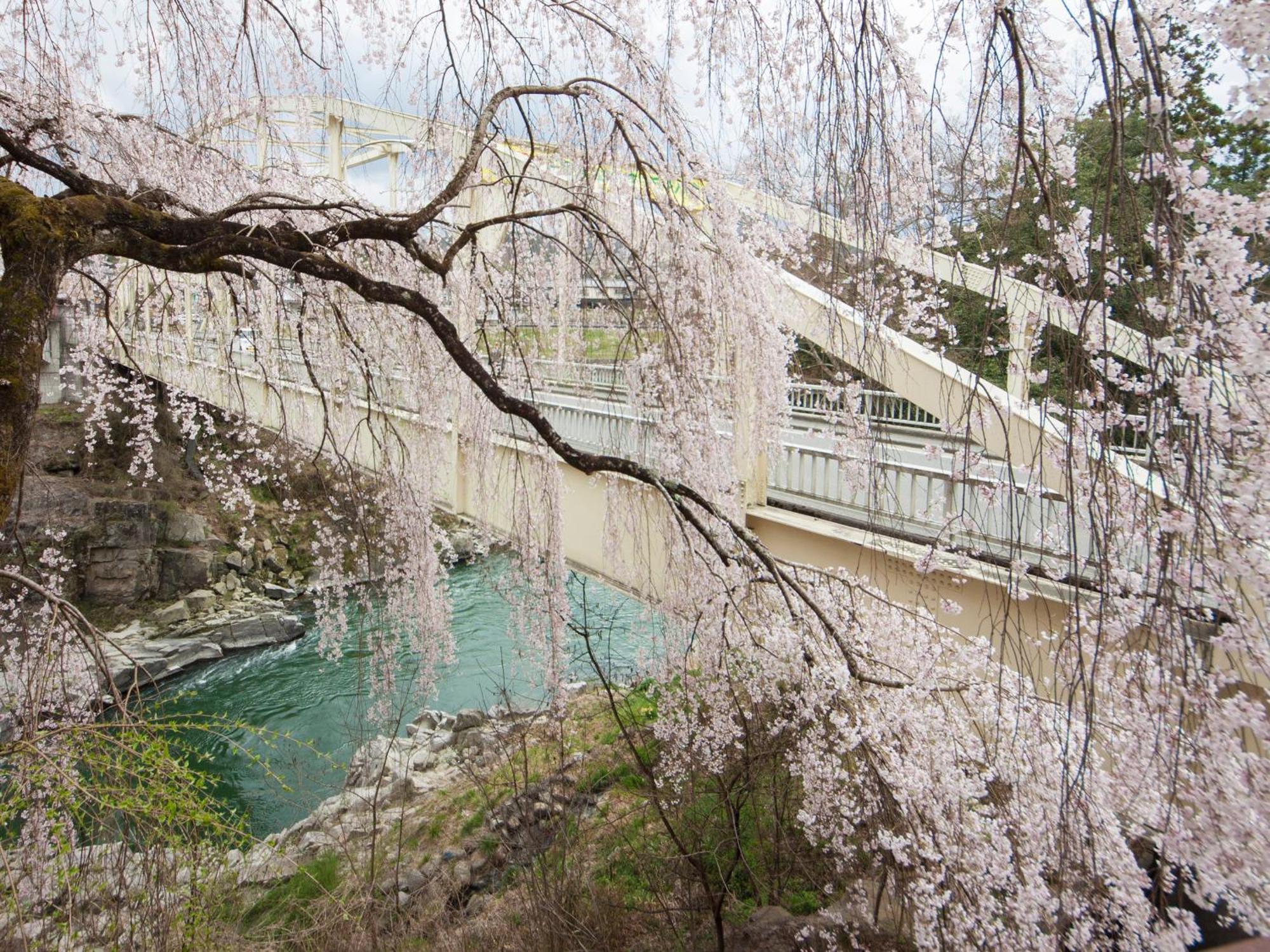 Yoshinotei Otel Iida Dış mekan fotoğraf